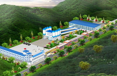 氫氧化鈣生產(chǎn)基地建設(shè)項目可行性研究報告