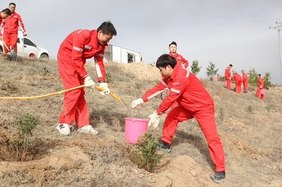 長慶油田采油七廠 企地共建“同心林”，科技賦能綠色發展